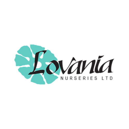 Lovania Logo